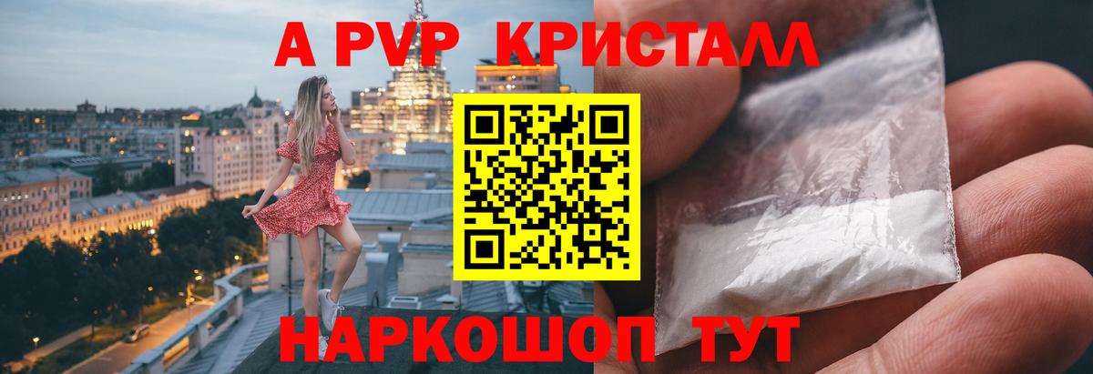 Альфа ПВП СК Мичуринск