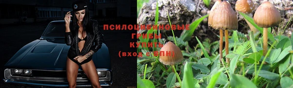 не бодяженный Магадан
