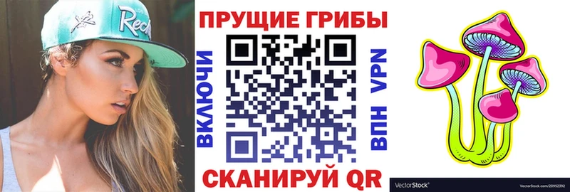 купить наркотик  Мичуринск  Галлюциногенные грибы мухоморы 