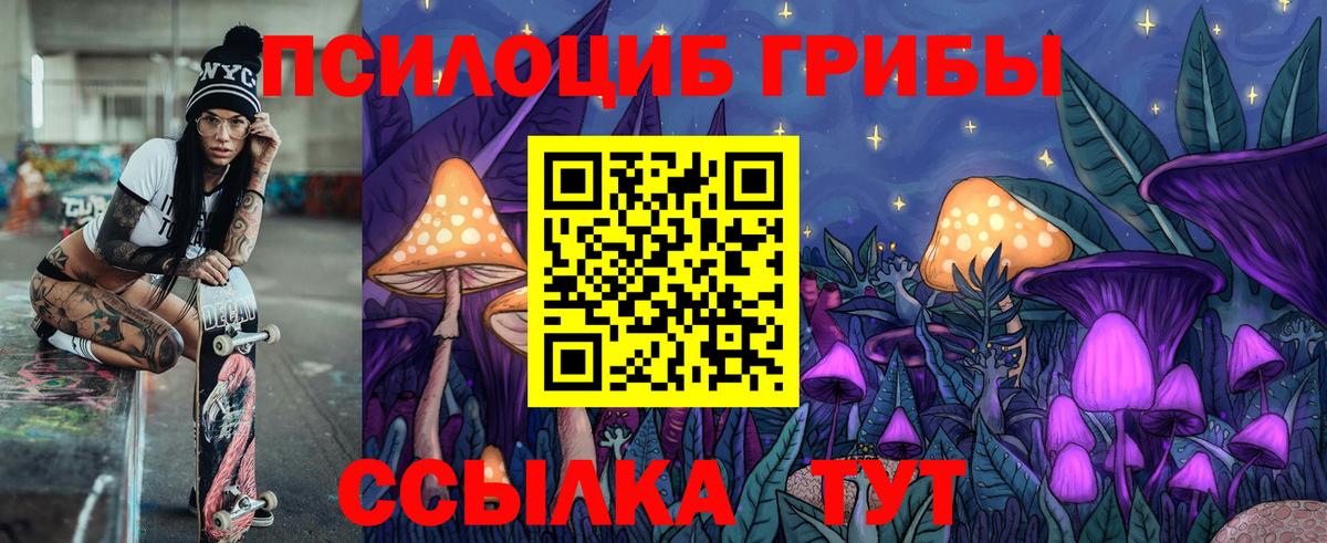 Галлюциногенные грибы ЛСД  Вход с VPN  как найти наркотики  Мичуринск 