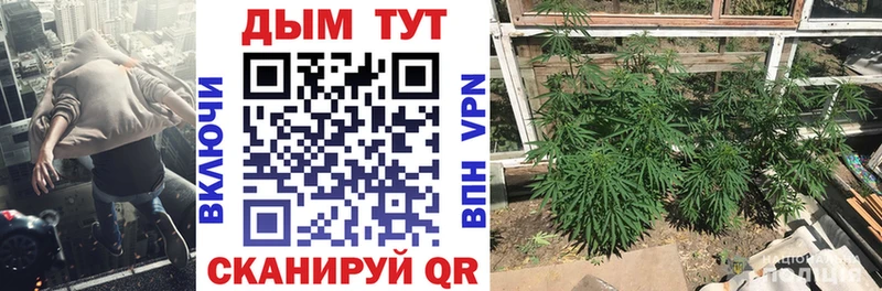 Конопля конопля  Мичуринск 
